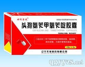 世纪鑫威 一站式专业代理服务，助您轻松拓展优质产品资源